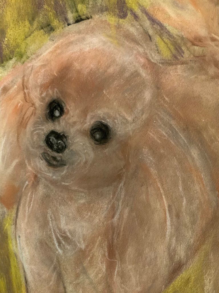 Pastel of Bellini