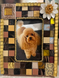 Karen’s mosaic frames Bellini